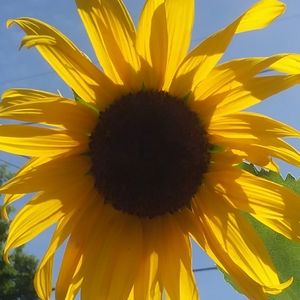 Meet your Posher, WynterB.